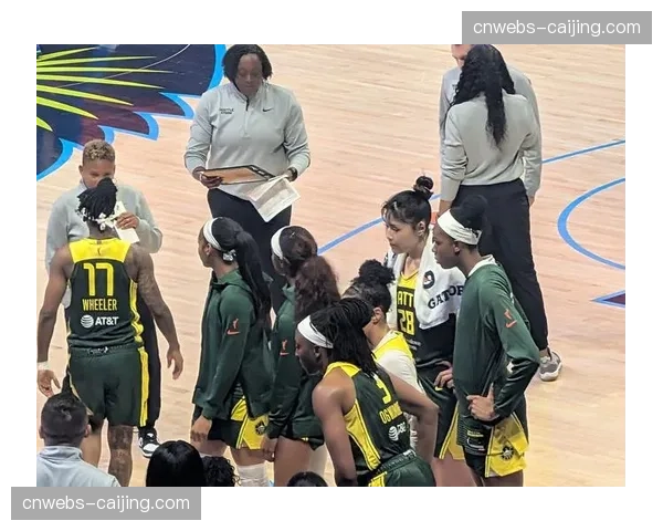 达拉斯飞翼队签下前WNBA全明星中锋作为训练营补充 达拉斯飞翼队签下前WNBA全明星中锋作为训练营补充